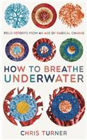 How to Breathe Underwater: Field Reports from an Age of Radical Change