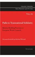 Paths to Transnational Solidarity