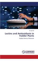Lectins and Antioxidants in Fodder Plants