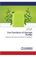 Fast Pyrolysis of Sewage Sludge