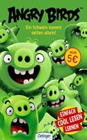 Angry birds - Ein Schwan kommt selten allein!