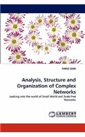 Analysis, Structure and Organization of Complex Networks