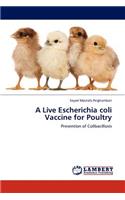 A Live Escherichia coli Vaccine for Poultry