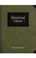 Pferd Und Fahrer