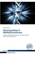 Homocysteine S-Methyltransferase