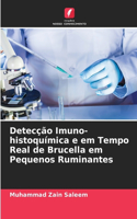 Detecção Imuno-histoquímica e em Tempo Real de Brucella em Pequenos Ruminantes