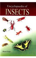Encyclopaedia of Insects
