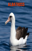 Albatross
