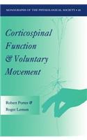 Corticospinal Function and Voluntary Movement