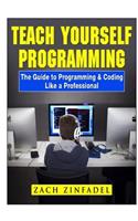 Teach Yourself Programming The Guide to Programming & Coding Like a Professional