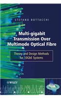 Multi-Gigabit Transmission over Multimode Optical Fibre
