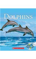 Dolphins