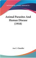 Animal Parasites And Human Disease (1918)