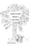 TIDBITS from INSIDE a CHESTNUT