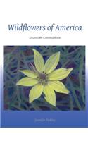 Wildflowers of America
