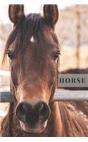 Horse: Notebook With Curio, Education Notebook, Animal Notebook, School Notebook, Office Notebook, Journal, Diary (110 Pages, Blank, Lines, 6 x 9)