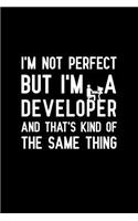 I'm not perfect but I'm a developer and that's kind of the same thing