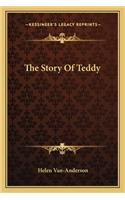 Story Of Teddy