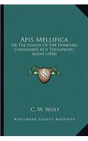 Apis Mellifica