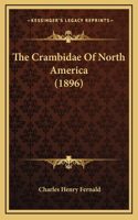 The Crambidae Of North America (1896)