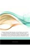 Articles on Animal Breeds Originating in Australia, Including: Waler Horse, Polwarth (Sheep), Murray Grey, Australorp, Australian Stock Horse, Austral