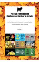 Pin-Tzu 20 Milestone Challenges: Outdoor & Activity Pin-Tzu Milestones for Memorable Moments, Outdoor Fun, Socialization, Agility, Training Volume 3