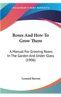 Roses And How To Grow Them