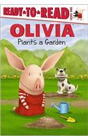 Olivia Plants a Garden
