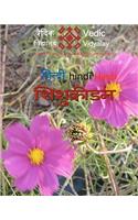 Shishukridan - A Hindi learning book for children