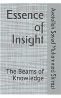 Essence of Insight