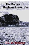 Bodies of Elephant Butte Lake