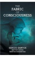 Fabric of Consciousness