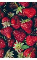 Ripe Red Strawberries Fruit Journal