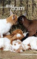 Baby Goats Weekly Planner 2017: 16 Month Calendar