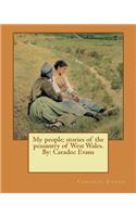 My people; stories of the peasantry of West Wales. By