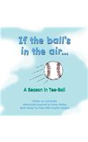 If the Ball's in the Air... a Season in Tee-Ball