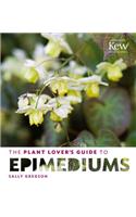 Plant Lover's Guide to Epimediums