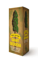Grow Your Own Giant Sequoia Kit: Plant the Biggest Tree in the World in Your Very Own Backyard!