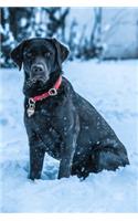 Labrador Retriever Dog Pup Puppy Doggie Notebook Bullet Journal Diary Composition Book Notepad - Deep in Snow