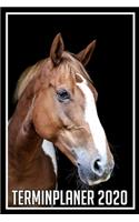 Terminplaner 2020: Jahresplaner von September 2019 bis Dezember 2020 mit Pferd - Planer mit 174 Seiten in weiß im Format A5 mit glänzendem Soft Cover.