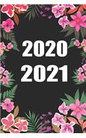 2020 / 2021