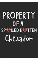 Property Of A Spoiled Rotten Chesador: Lined Journal, 120 Pages, 6 x 9, Chesador Dog Gift Idea, Black Matte Finish (Property Of A Spoiled Rotten Chesador Journal)