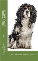 cavalier king charles