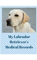 My Labrador Retriever's Medical Records