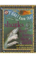 Sharks Keep Losing Their Teeth