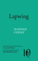 Lapwing