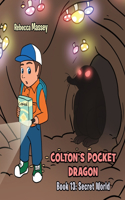 Colton's Pocket Dragon