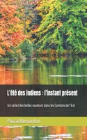 L'été des indiens