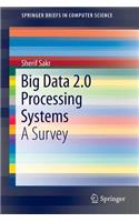 Big Data 2.0 Processing Systems: A Survey
