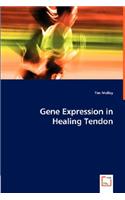 Gene Expression in Healing Tendon